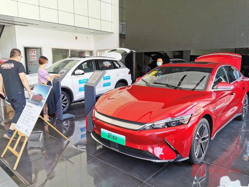 新能源車補(bǔ)貼退坡調(diào)查 市場(chǎng)終端火爆，車企策略分化，今年銷量劍指600萬輛